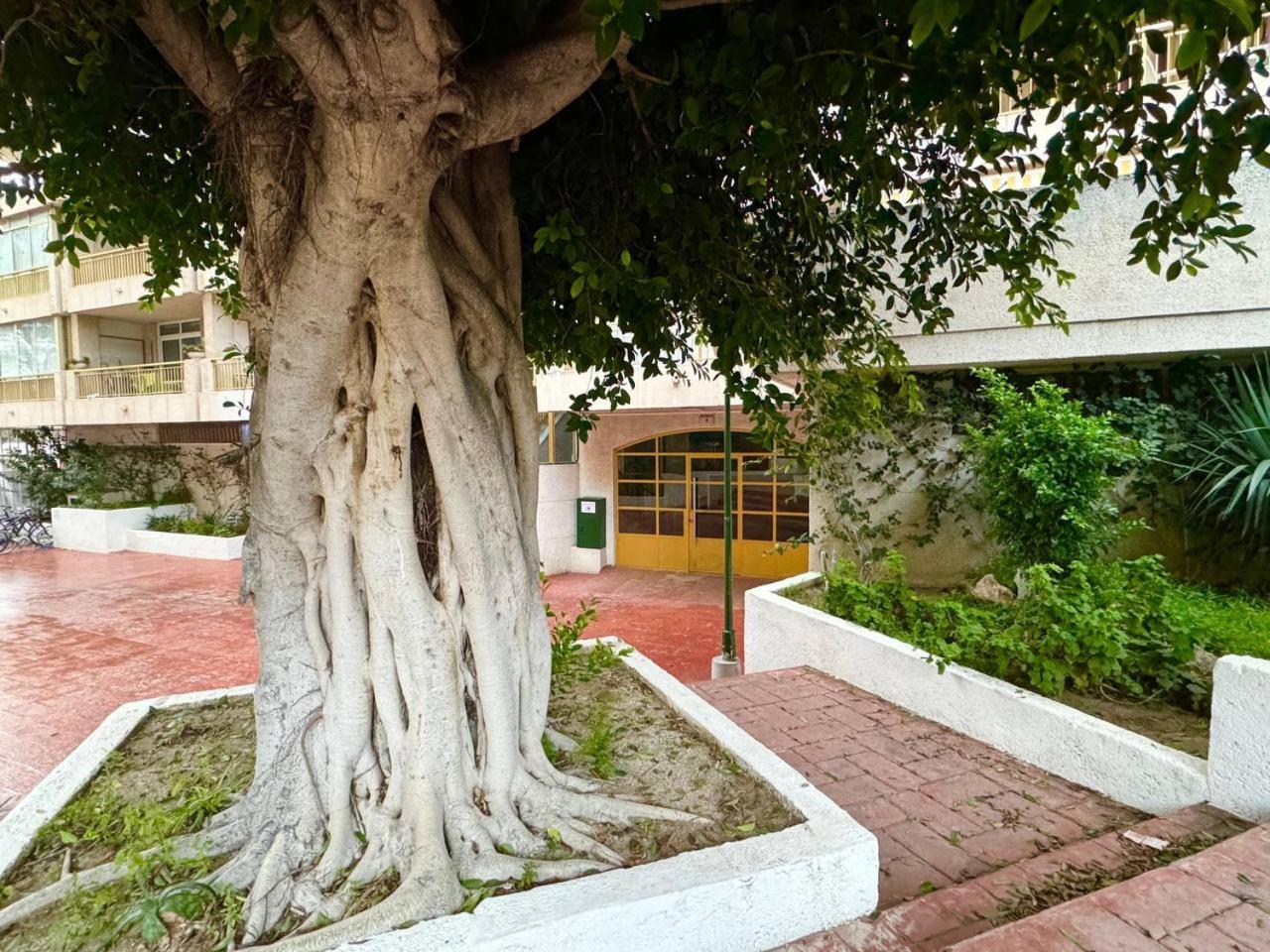 Apartsalou Lea מראה חיצוני תמונה